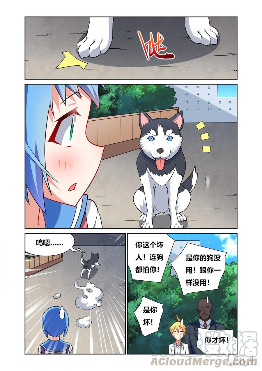 11.jpg