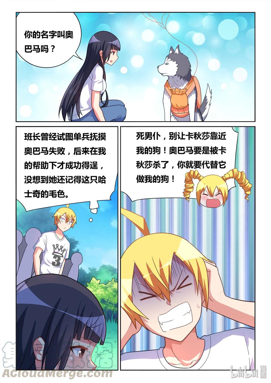 11.jpg