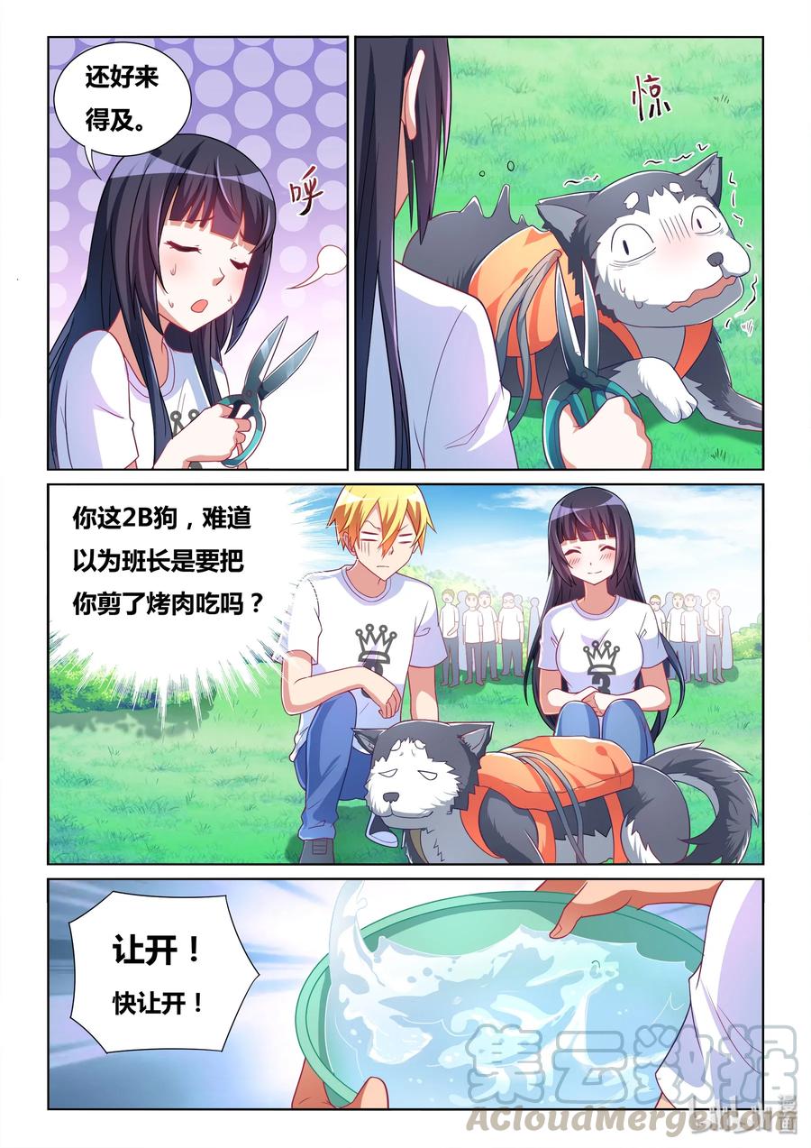 5.jpg