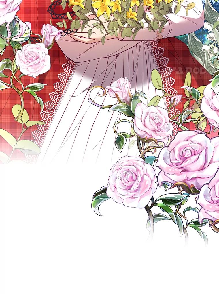 《披荆斩棘的未来》31.担心丹尼尔 第46页