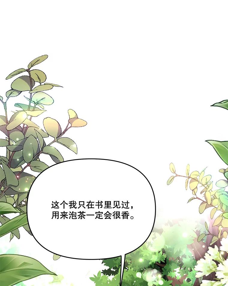 《披荆斩棘的未来》33.科恩告白 第3页