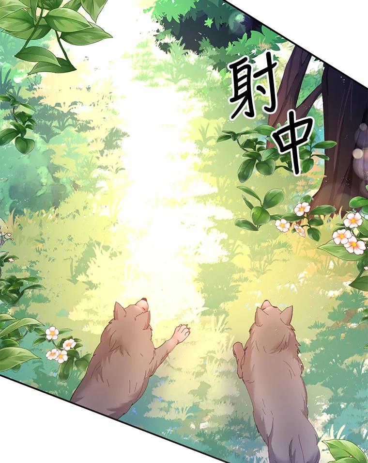 《披荆斩棘的未来》33.科恩告白 第8页