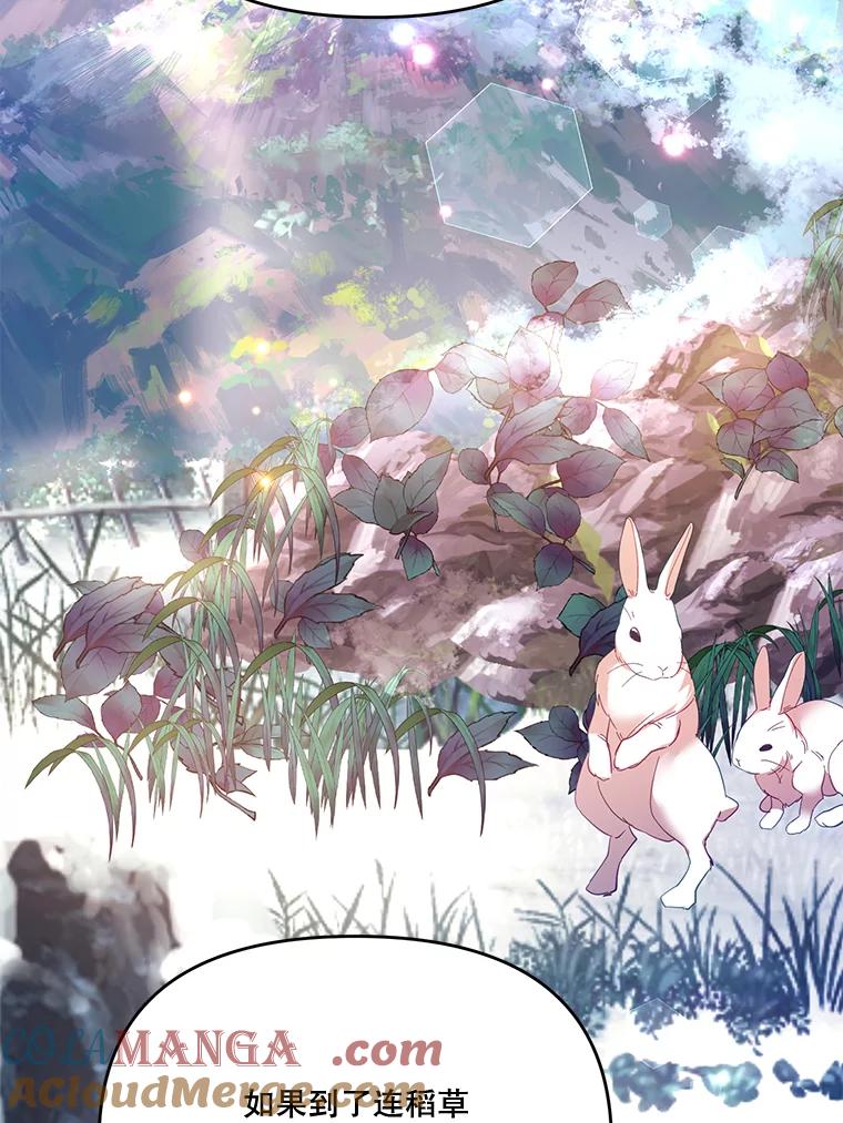 《披荆斩棘的未来》33.科恩告白 第29页