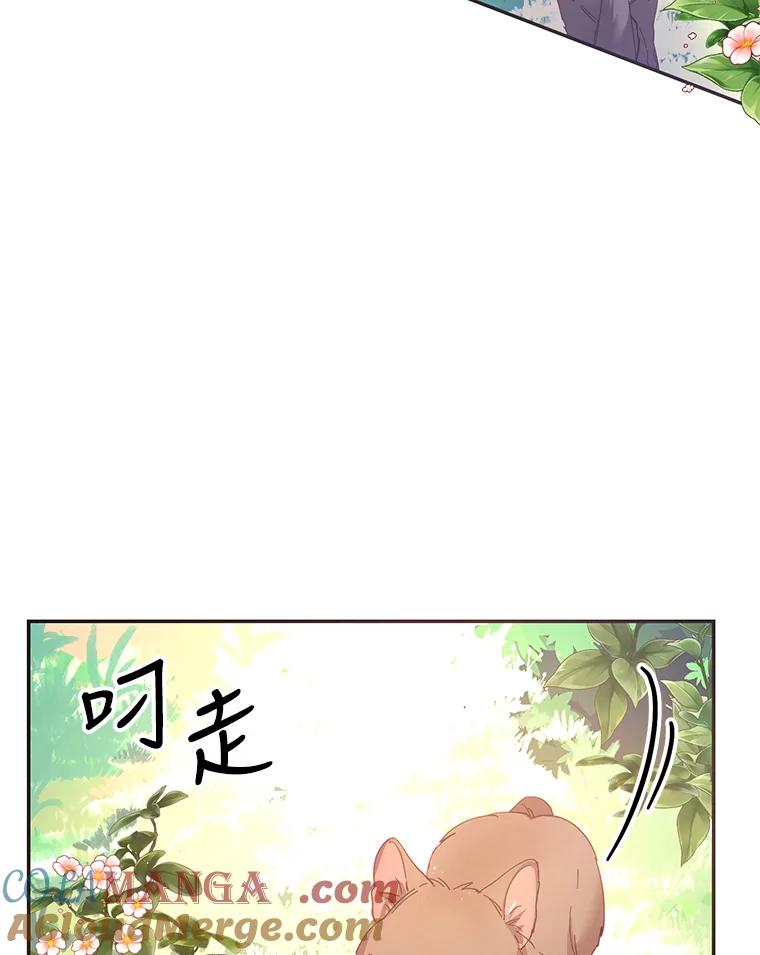 《披荆斩棘的未来》33.科恩告白 第9页