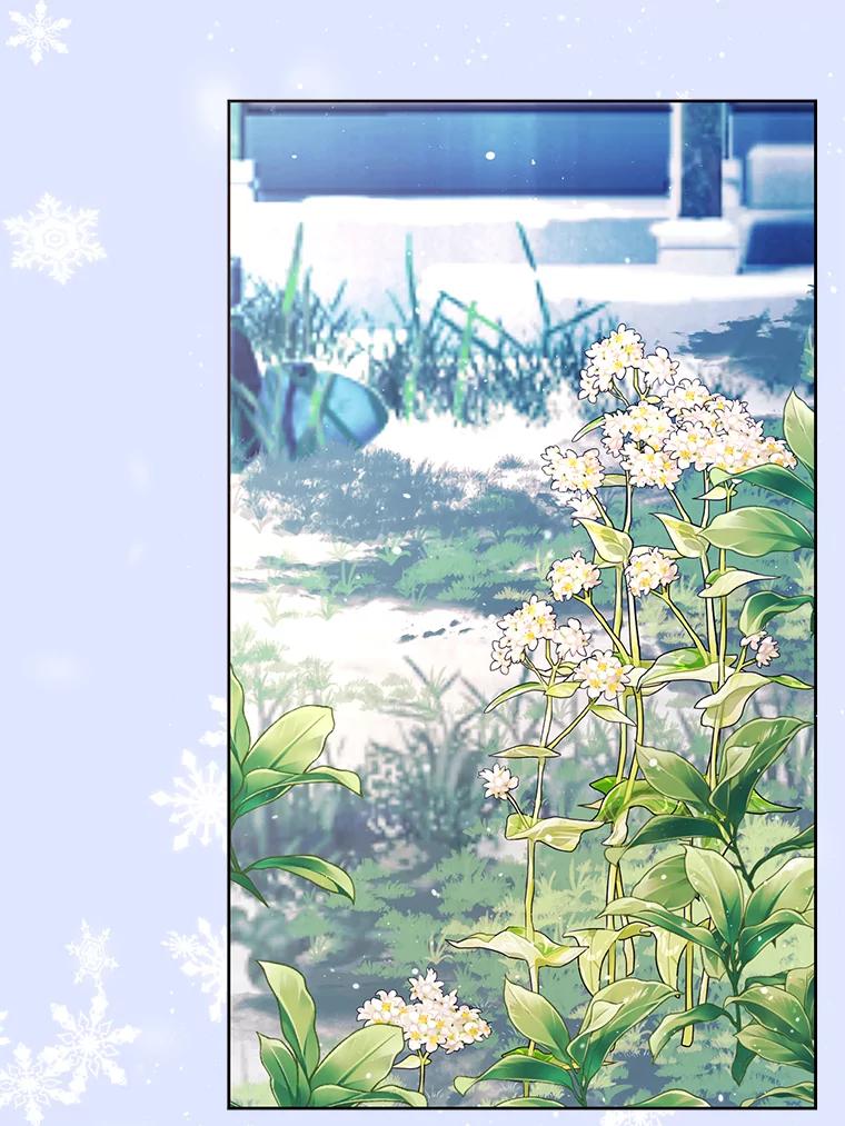 《披荆斩棘的未来》40.信物 第83页
