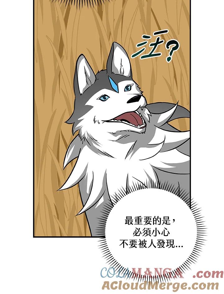 《大魔导士直播中》第51话 第37页