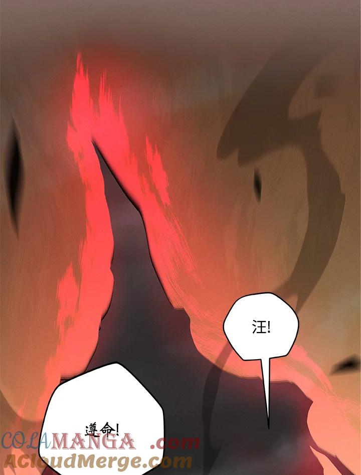 《大魔导士直播中》第52话 第5页