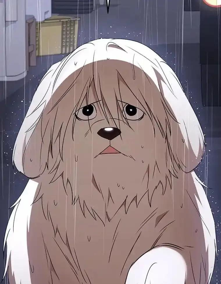 《你好？兽医先生！》58.小古历险记（2） 第78页