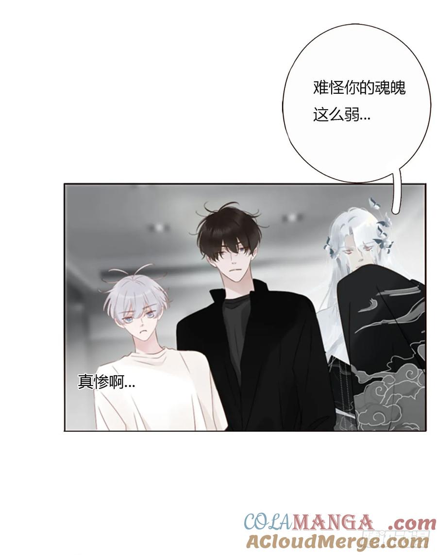 拥然入怀 一七九章 蛮蟒的过去 第13页