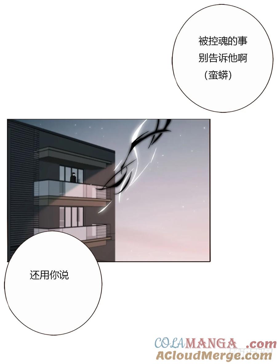 拥然入怀 一七九章 蛮蟒的过去 第19页