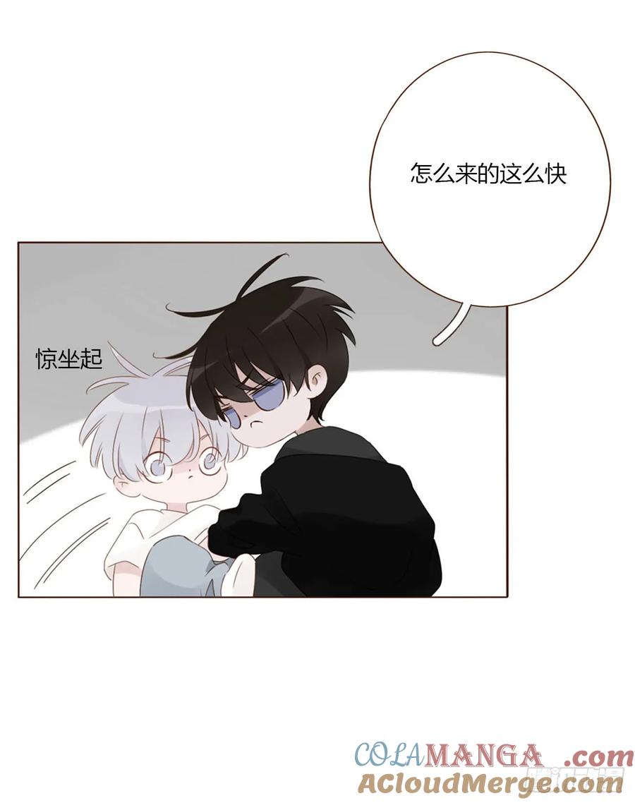 拥然入怀 一七九章 蛮蟒的过去 第37页