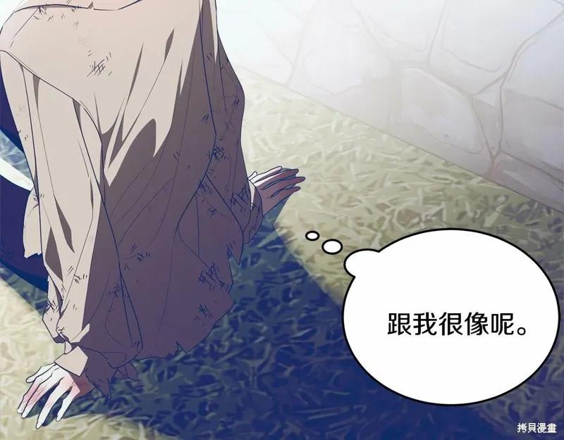 《明明是冷美人小姐却变成了忠犬大少爷》第95话 第234页