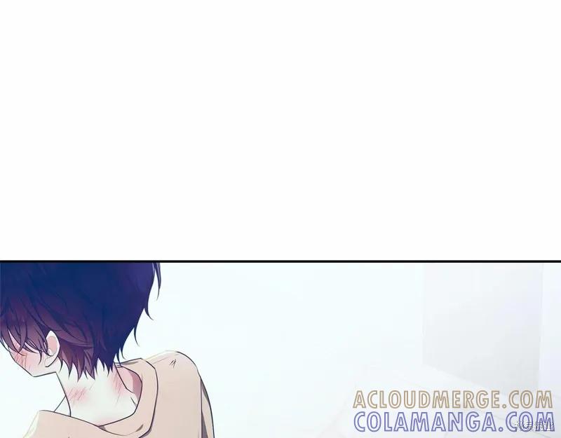 《明明是冷美人小姐却变成了忠犬大少爷》第95话 第233页