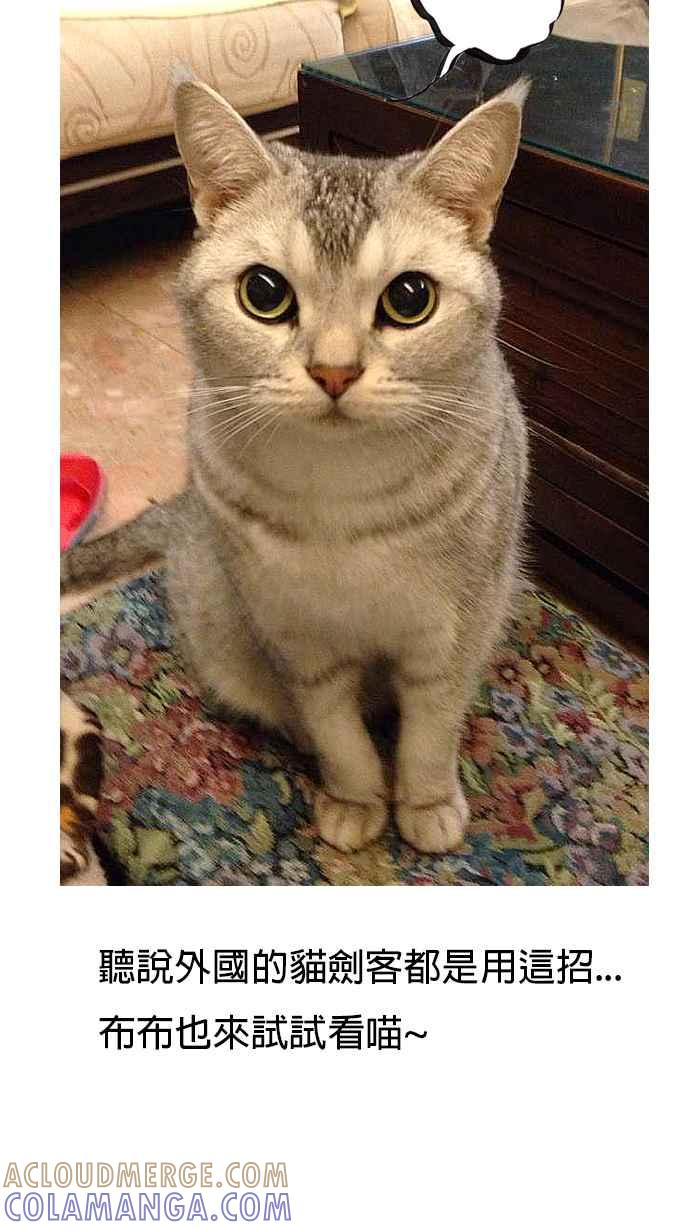 猫剑客 [第70话] 折翼天使 拾参 御部众 第31页