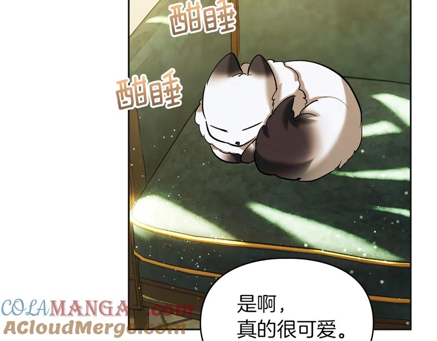 《我才是真正的家主》第36话 特别之日 第5页