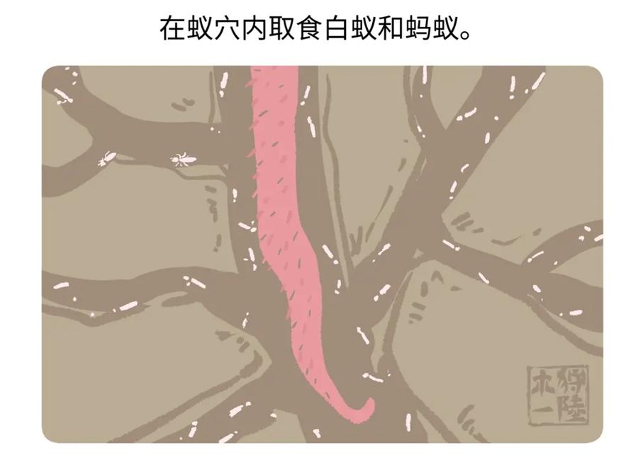 《胖达x胖达》第257话 第28页
