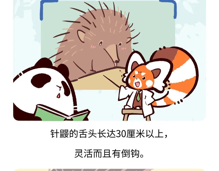 《胖达x胖达》第257话 第26页
