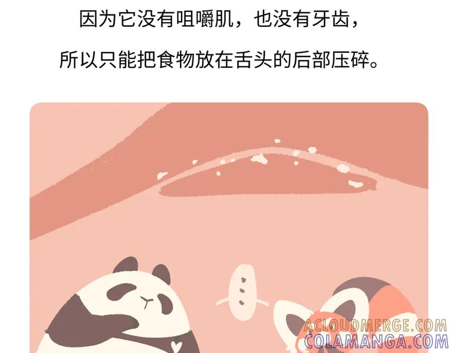 《胖达x胖达》第257话 第29页