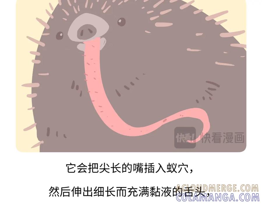 《胖达x胖达》第257话 第27页