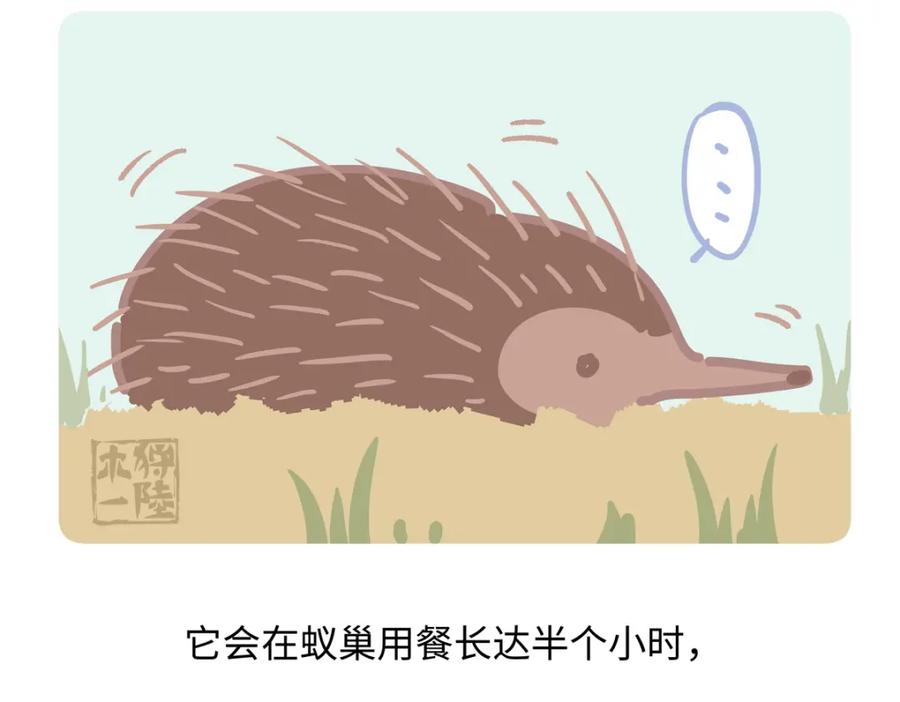 《胖达x胖达》第257话 第22页