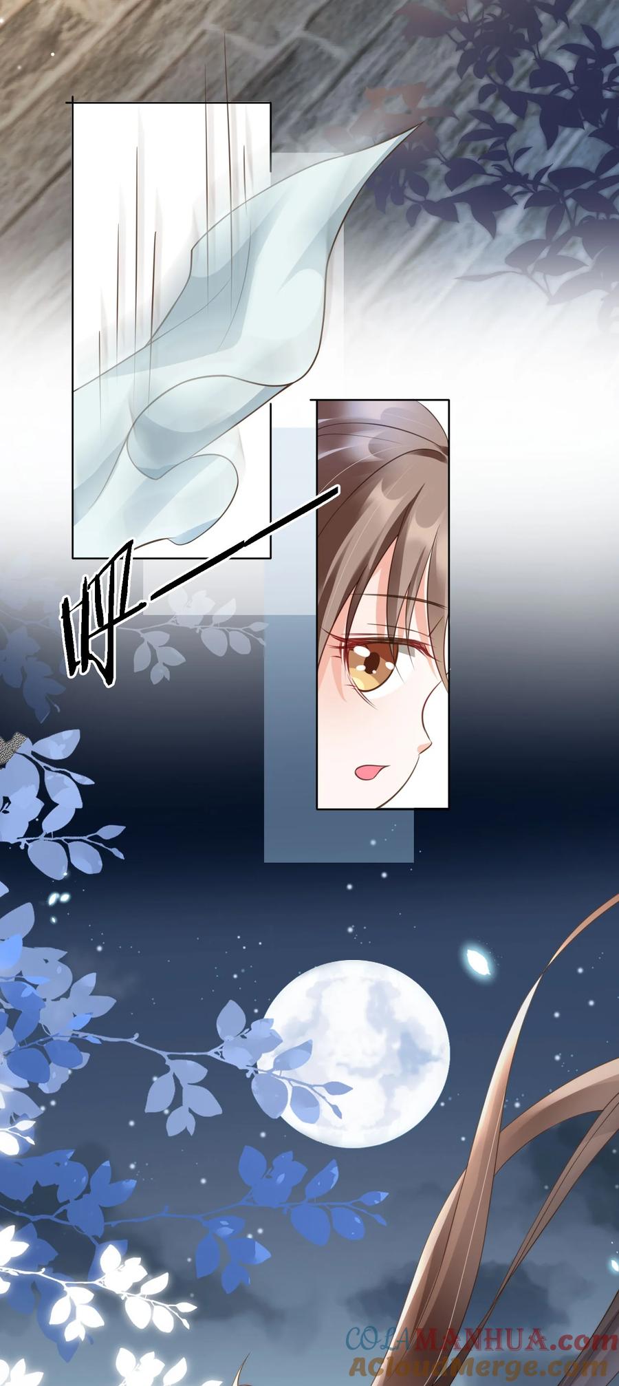 《我成了修真界第一黑月光》07 貌美夫男 第25页