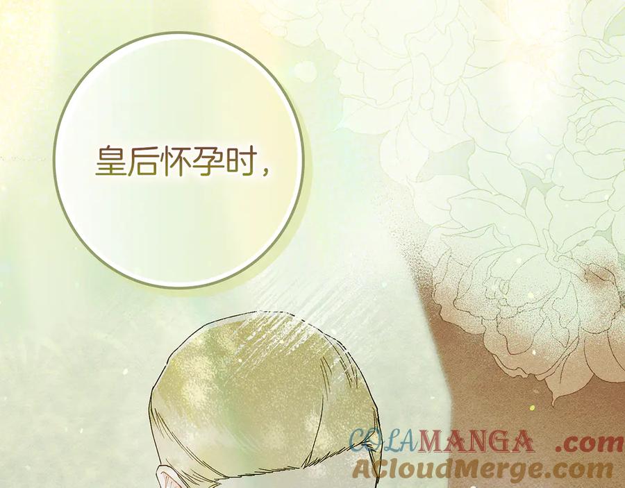 不幸的骑士，请和姐姐恋爱吧 - 第28话 最后相信一次 - 第249张图