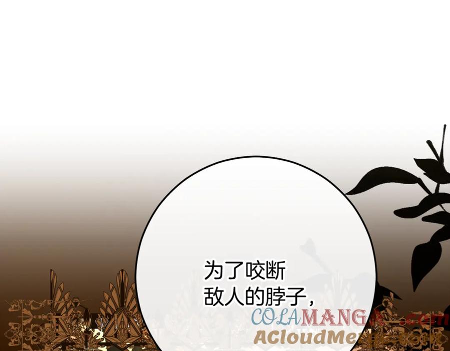 混球的姐姐 第82话 盾牌后的狮子 第193页