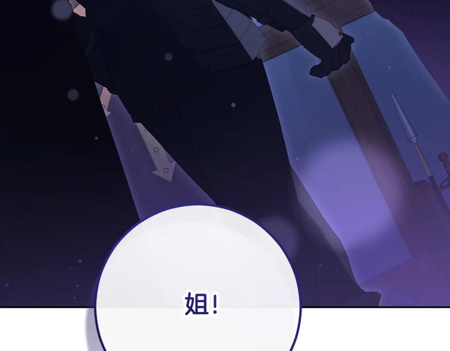 混球的姐姐 第82话 盾牌后的狮子 第244页
