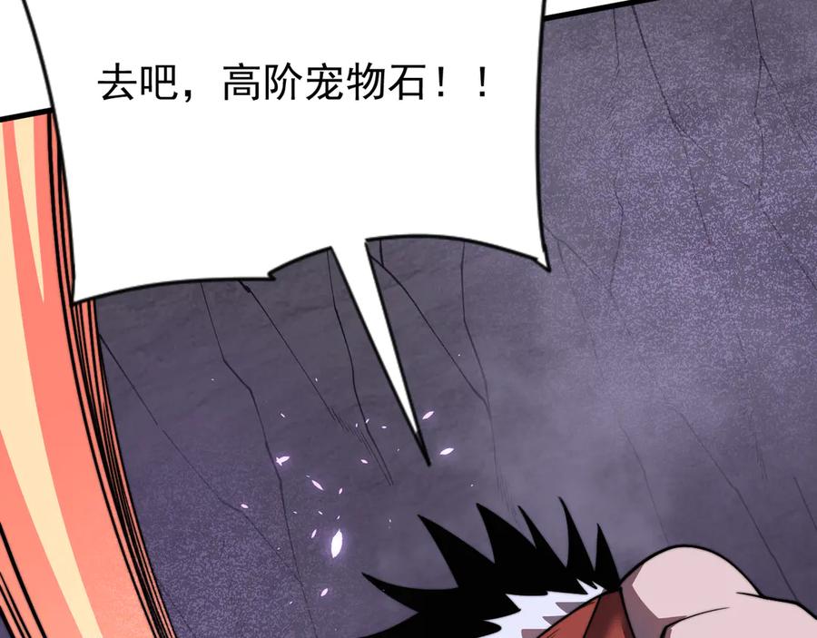 网游：因为太浪，我成了全服公敌！ 第98话 宠物捕捉 第143页