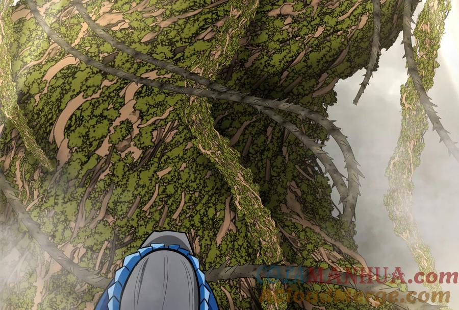 重生为怪兽什么鬼 - 第49话 尊柏树 - 第100张图