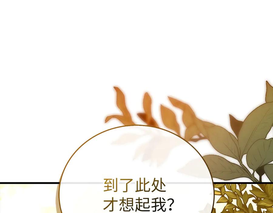 圣子是什么狗屁，这是现代医学的力量 - 第96话 十二英雄 - 第95张图