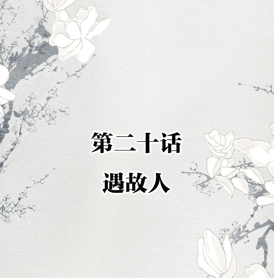 不小心救了江湖公敌 020 遇故人 第2页