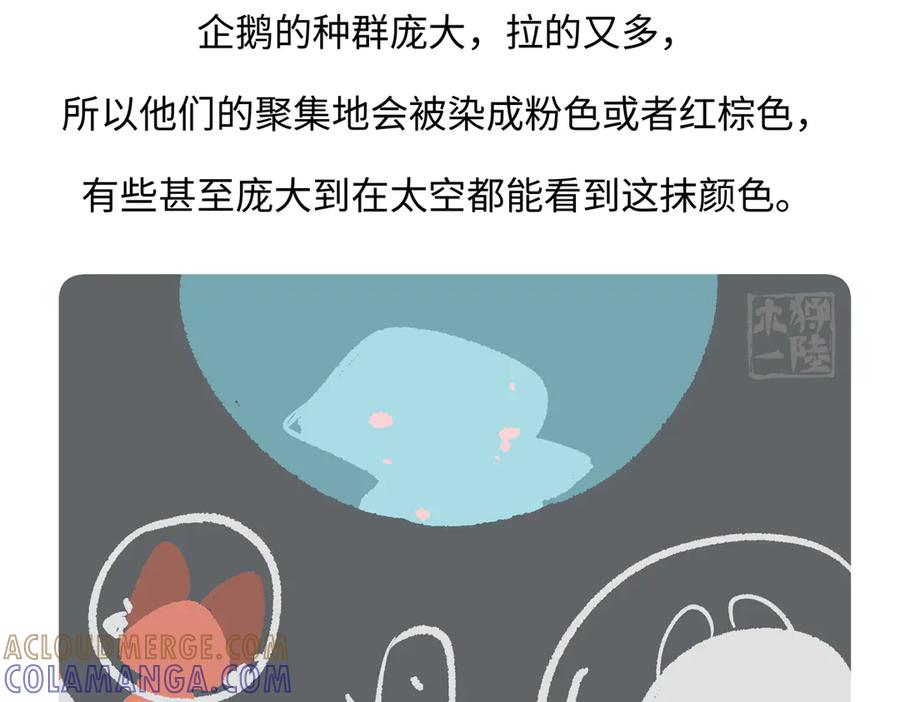 《胖达x胖达》第273话 第29页