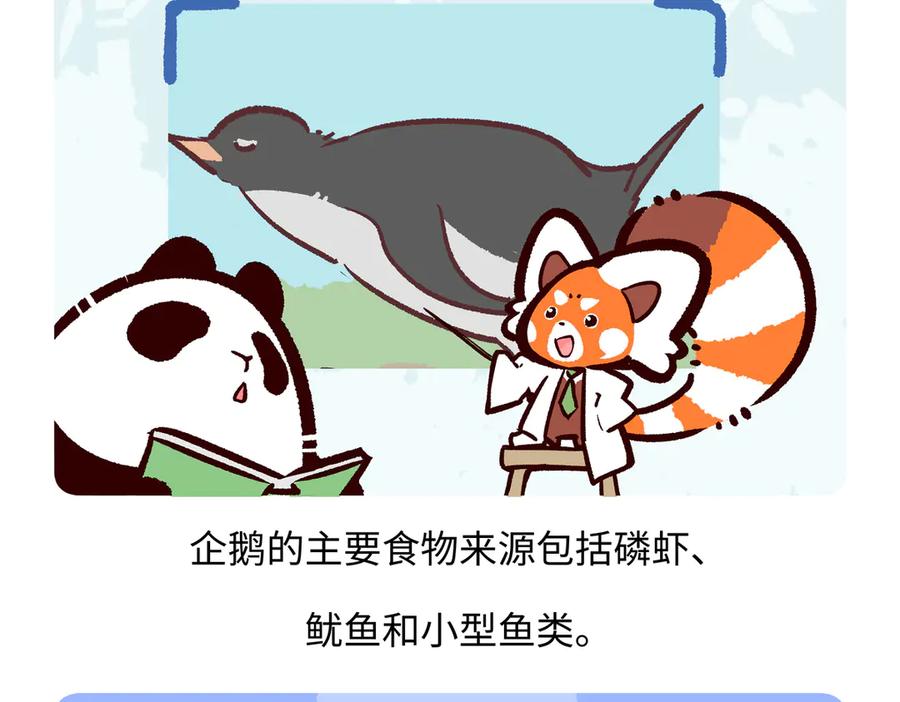 《胖达x胖达》第273话 第20页