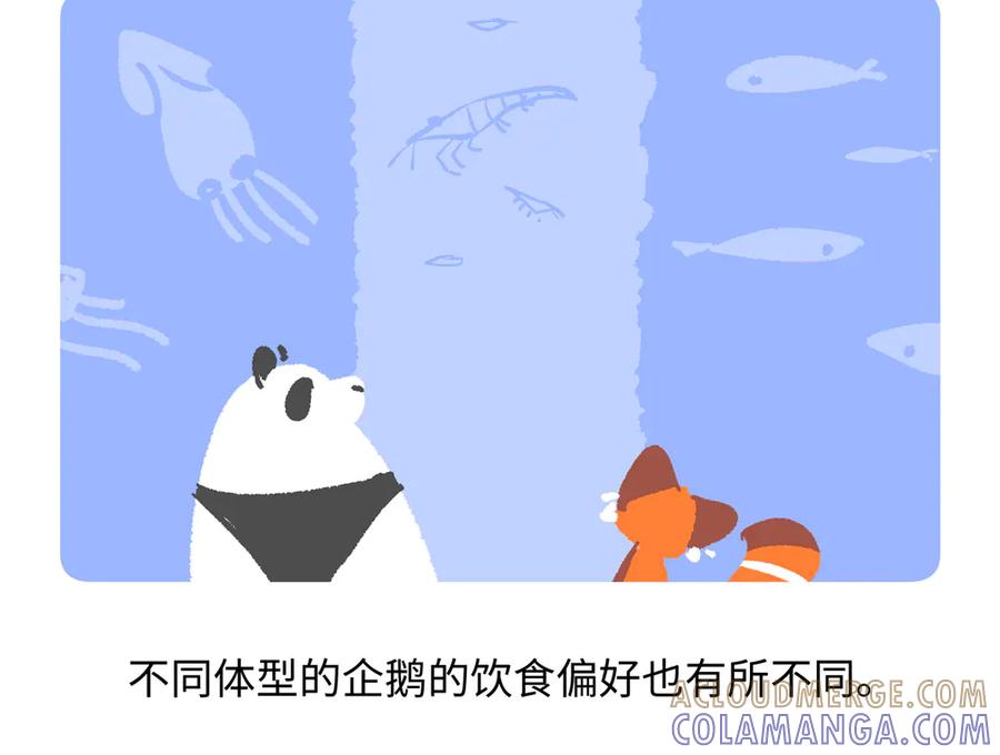《胖达x胖达》第273话 第21页