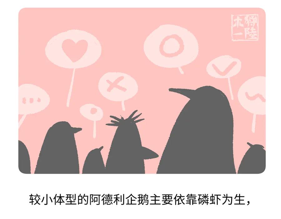 《胖达x胖达》第273话 第22页