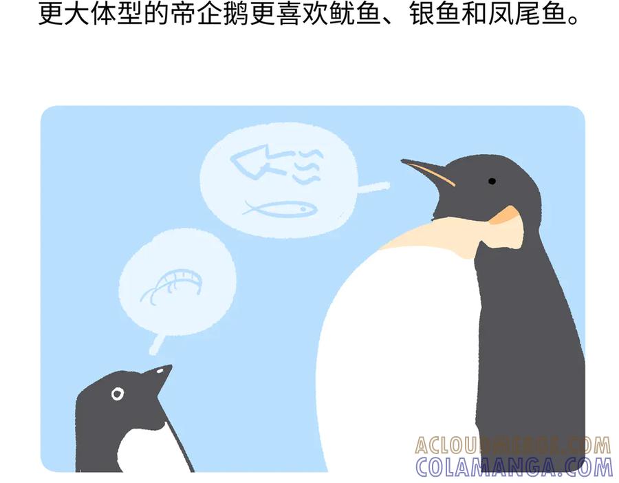 《胖达x胖达》第273话 第23页