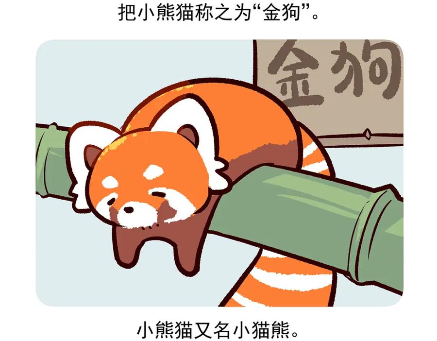 《胖达x胖达》第51话 第28页