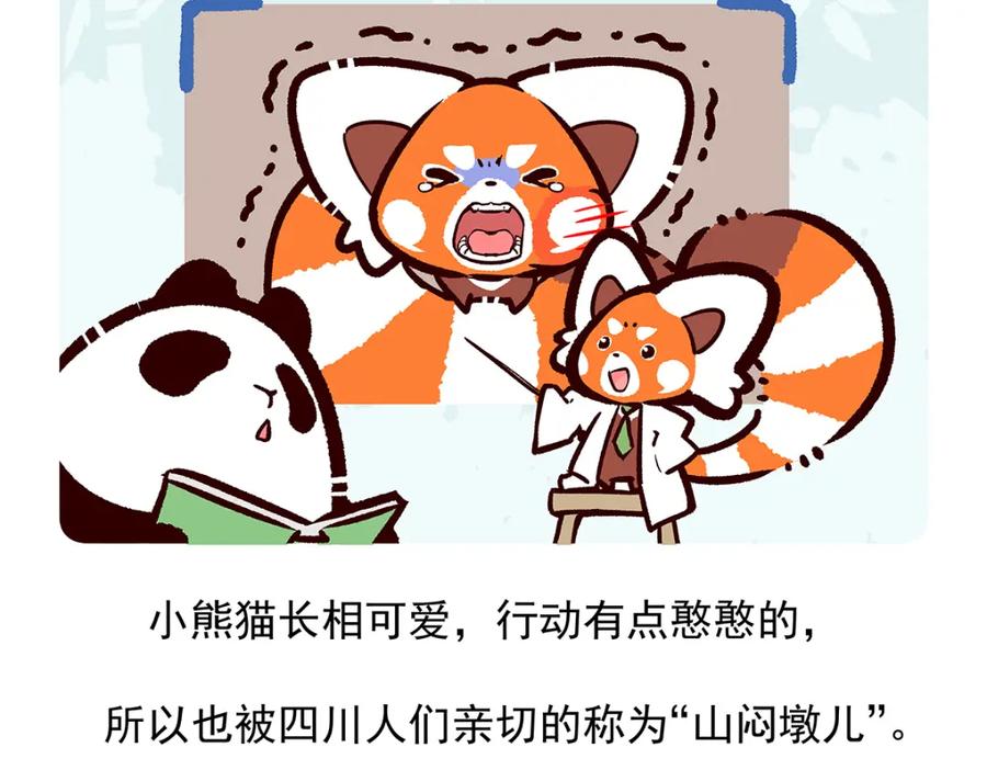 《胖达x胖达》第51话 第26页