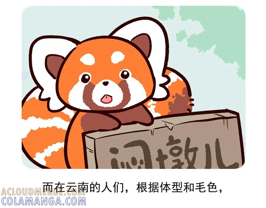 《胖达x胖达》第51话 第27页