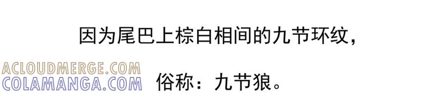 《胖达x胖达》第51话 第29页