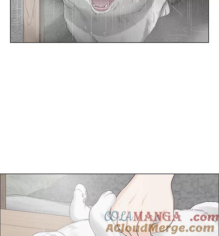 《甜咸男女》142.雨过天晴 第64页