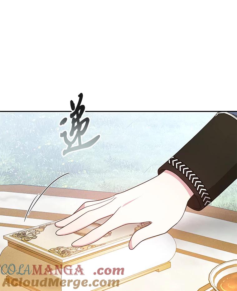 《宝贝龙太子妃驯服疯子》20.水石中的精灵 第73页