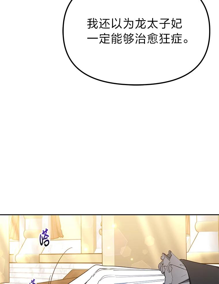《宝贝龙太子妃驯服疯子》26.大会议 第28页