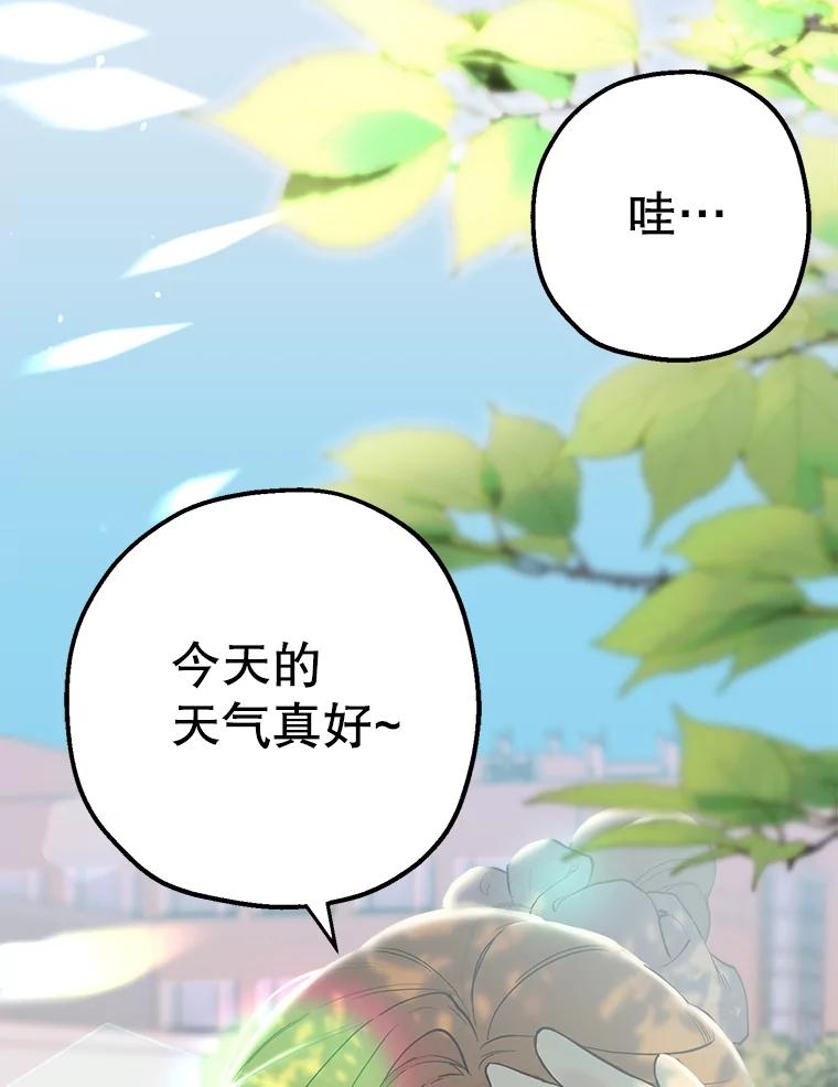 《第二个丈夫》31.结课 第12页