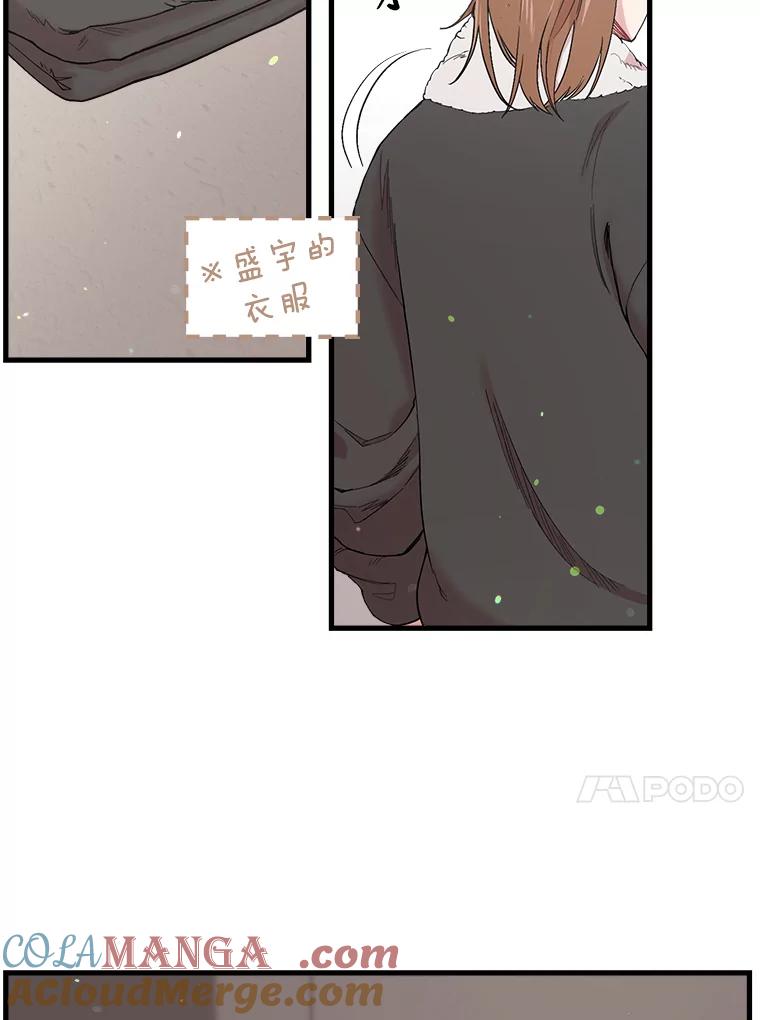 《第二个丈夫》32.确定心意 第37页