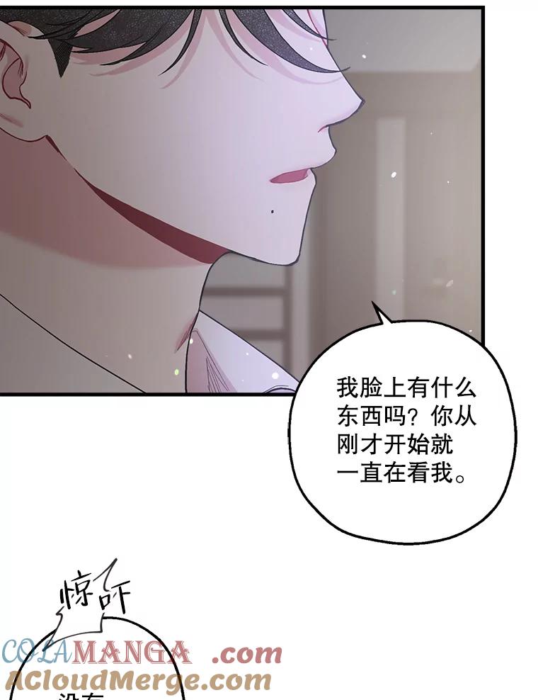《第二个丈夫》32.确定心意 第69页