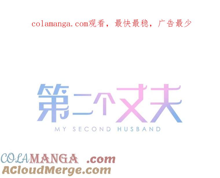 《第二个丈夫》32.确定心意 第1页