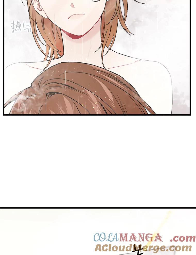 《第二个丈夫》32.确定心意 第29页