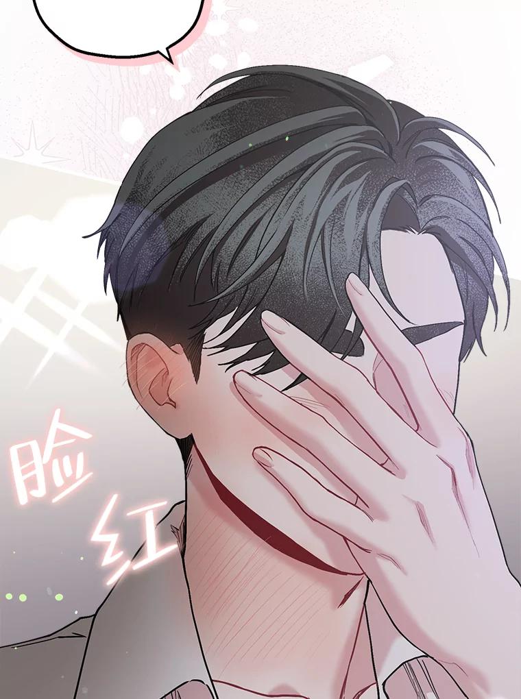 《第二个丈夫》32.确定心意 第91页